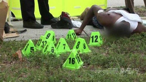 The First 48 Season 6 Episode 8 - About Face / Backyard Murder