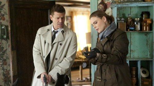 Bones Season 11 Episode 13 - The Monster in the Closet