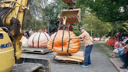 How To with John Wilson Season 3 Episode 3 - How to Work Out