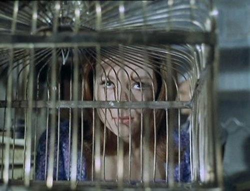 The Avengers Season 5 Episode 5 - The Bird Who Knew Too Much