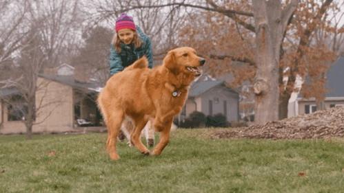 The Wizard of Paws Season 2 Episode 6 - Zoey