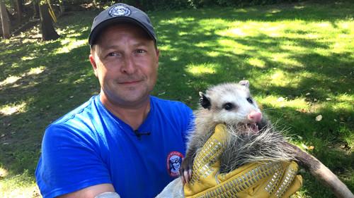 Louis and the Urban Jungle Season 1 Episode 11 - Episode 11