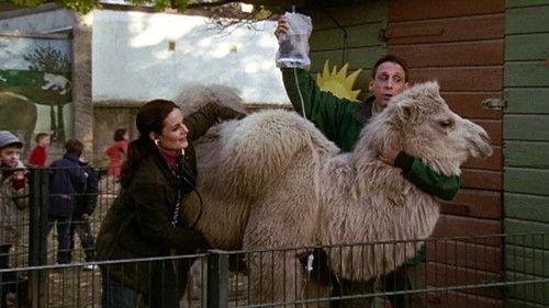 Tierärztin Dr. Mertens Season 3 Episode 7 - Episode 7