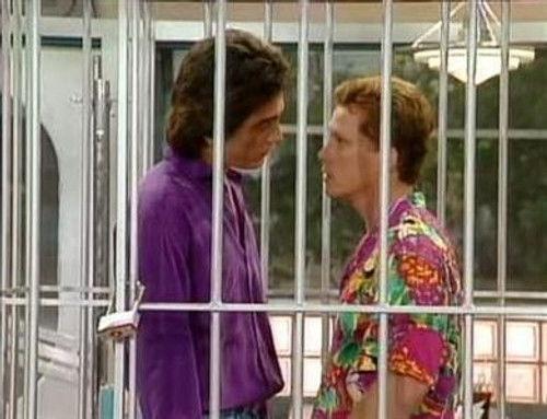 Charles in Charge Season 5 Episode 21 - La Cage Aux Fools