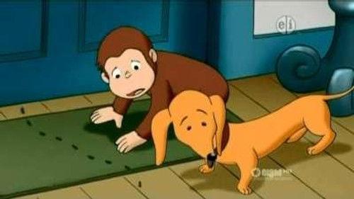 Curious George Season 6 Episode 13 - Feeling Antsy