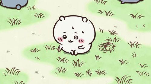 Chiikawa Season 1 Episode 18 - Weeding / Matching