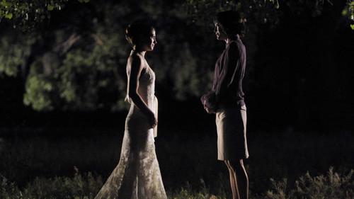 Wildfire Season 4 Episode 13 - The Ties That Bind: Part II