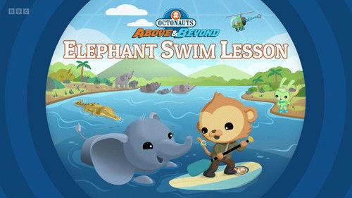 Octonauts: Above & Beyond Season 4 Episode 11 - Elephant Swim Lesson