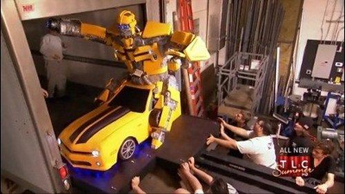 Cake Boss Season 4 Episode 16 - A Big Bumblebee & A Bossy Grace