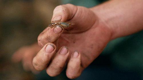 Robinson Season 23 Episode 15 - Episode 15