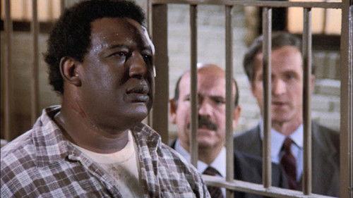 Hill Street Blues Season 5 Episode 14 - Dr. Hoof and Mouth
