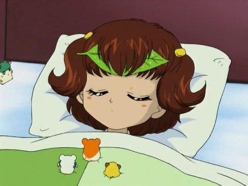 Hamtaro Season 1 Episode 16 - Get Well, Laura