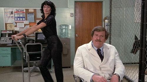 Hart to Hart Season 2 Episode 4 - Murder is Man's Best Friend