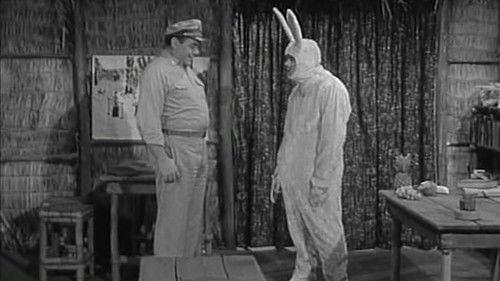 McHale's Navy Season 3 Episode 27 - Chuckie Cottontail