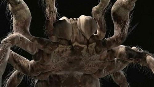 MonsterQuest Season 2 Episode 17 - Monster Spiders