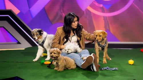 MaiThink X – Die Show Season 2 Episode 3 - Fernsehquote: Die geheime Macht der Quotenbox