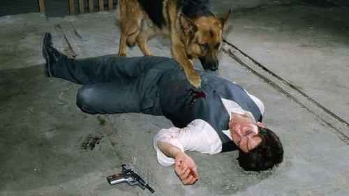 undefined Season 4 Episode 4 - Moser's Death