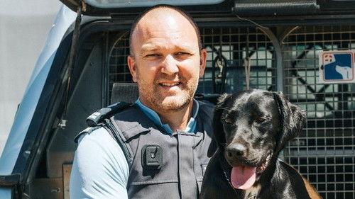 Dog Squad Puppy School Season 2 Episode 9 - Episode 9