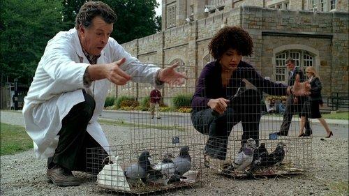 undefined Season 1 Episode 5 - Power Hungry