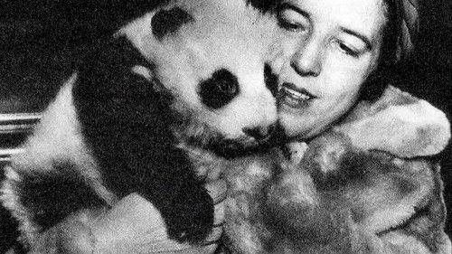 Mysteries at the Museum Season 7 Episode 2 - Circling the Skies, Lady & the Panda, 12 Years a Slave