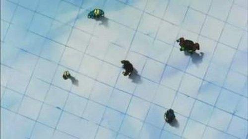 Dragon Ball Z Season 8 Episode 5 - Battle Supreme