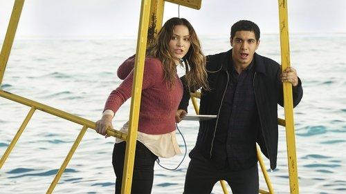 undefined Season 3 Episode 15 - Sharknerdo