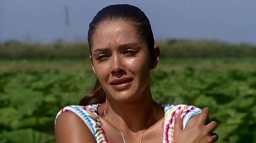 Gata salvaje Season 1 Episode 1 - Supplications to Heaven