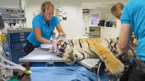 Dyrepasserne Season 14 Episode 9 - Tannverk