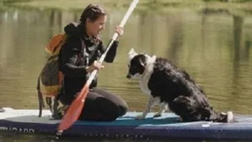 Lara i Kali Season 2 Episode 4 - Episode 4