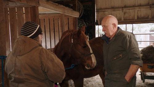 The Incredible Dr. Pol Season 23 Episode 10 - Pol Paw-ty