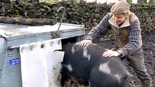 Frank & Kastaniegaarden Season 15 Episode 12 - Episode 12