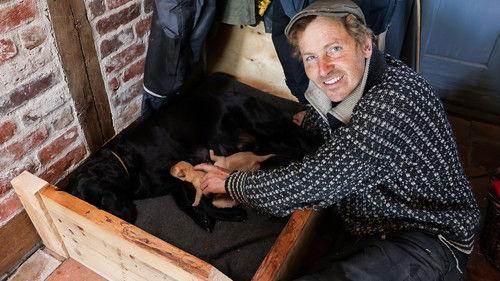 Frank & Kastaniegaarden Season 29 Episode 10 - Episode 10