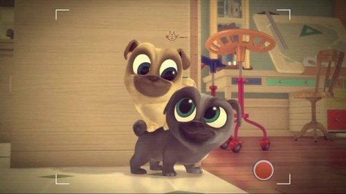 Puppy Dog Pals Season 1 Episode 30 - Adventures In Puppy-Sitting