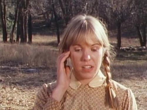 Grizzly Adams Season 1 Episode 12 - Home of the Hawk