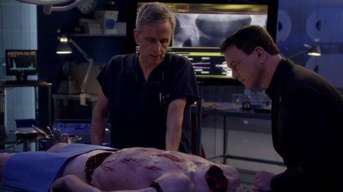 CSI: NY Season 8 Episode 16 - Sláinte