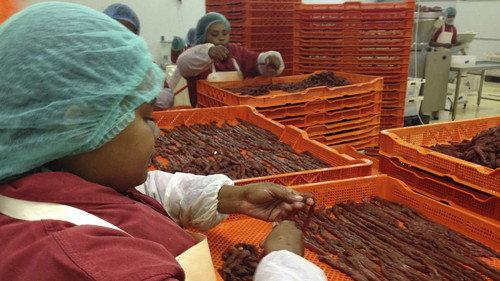 How Do They Do It? Season 12 Episode 15 - Sitar, Biltong, Bulldozers