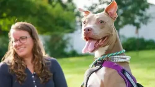 The Wizard of Paws Season 5 Episode 7 - Ready, Set, Hanabi!