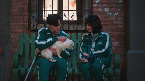 First Love Again Season 1 Episode 5 - Episode 5