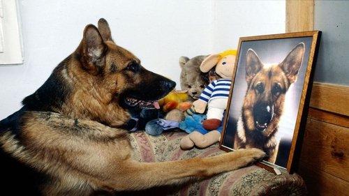 undefined Season 4 Episode 3 - A Lethal Plan