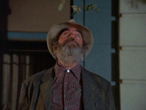 Eight Is Enough Season 3 Episode 12 - You Won't Have Nicholas to Kick Around Anymore (1)