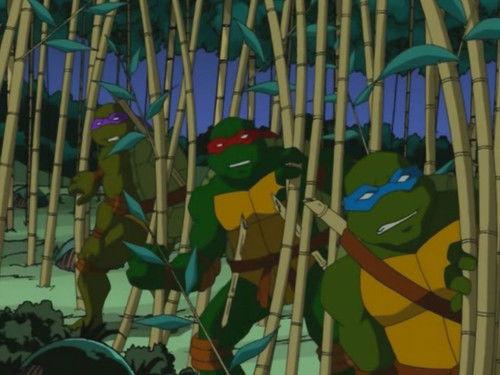 Teenage Mutant Ninja Turtles Season 2 Episode 7 - Secret Origins (2)