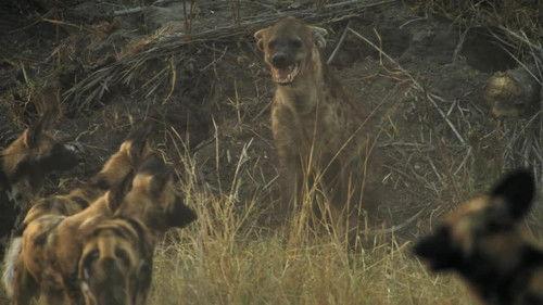 Savage Kingdom Season 3 Episode 6 - Ascendancy