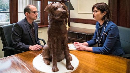 BrainDead Season 1 Episode 1 - The Insanity Principle: How Extremism in Politics Is Threatening Democracy in the 21st Century