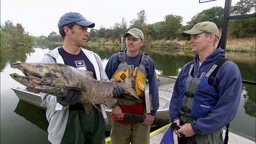 Dirty Jobs Season 3 Episode 2 - Poo Pot Maker