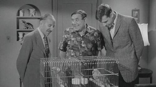 Car 54, Where Are You? Season 2 Episode 10 - I Hate Captain Block