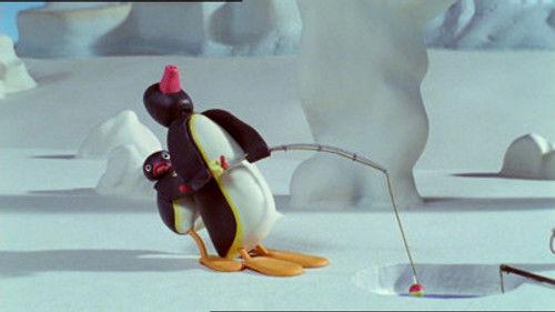 Pingu Season 5 Episode 12 - Like Father Like Pingu