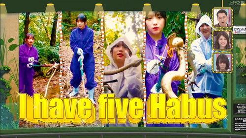 Nogizaka Under Construction Season 5 Episode 17 - Nogizaka Under Construction in Okinawa Part 5 - Viper Hunting