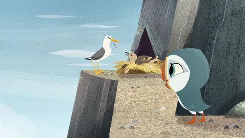 Puffin Rock Season 1 Episode 11 - Bird Detective