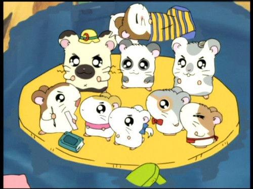 Hamtaro Season 1 Episode 48 - Ham-Ham Clubhouse in Danger!