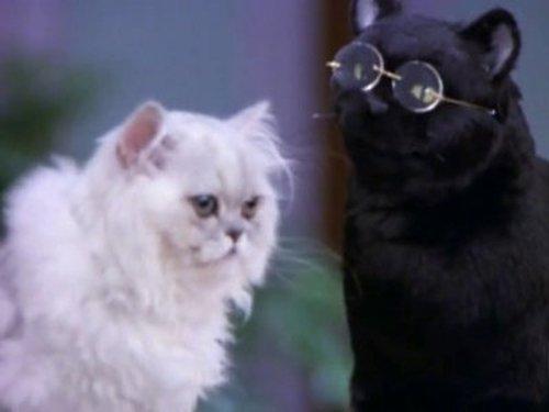 undefined Season 4 Episode 11 - Salem and Juliette